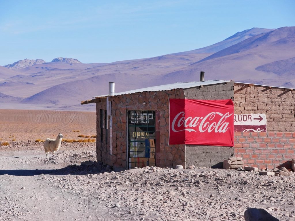 a lama at a coca cola shop in atacama desert Bolivia