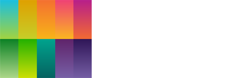 Jamin Vision