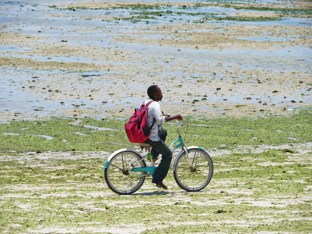 A man from Zanzibar riding bicycle on the beach