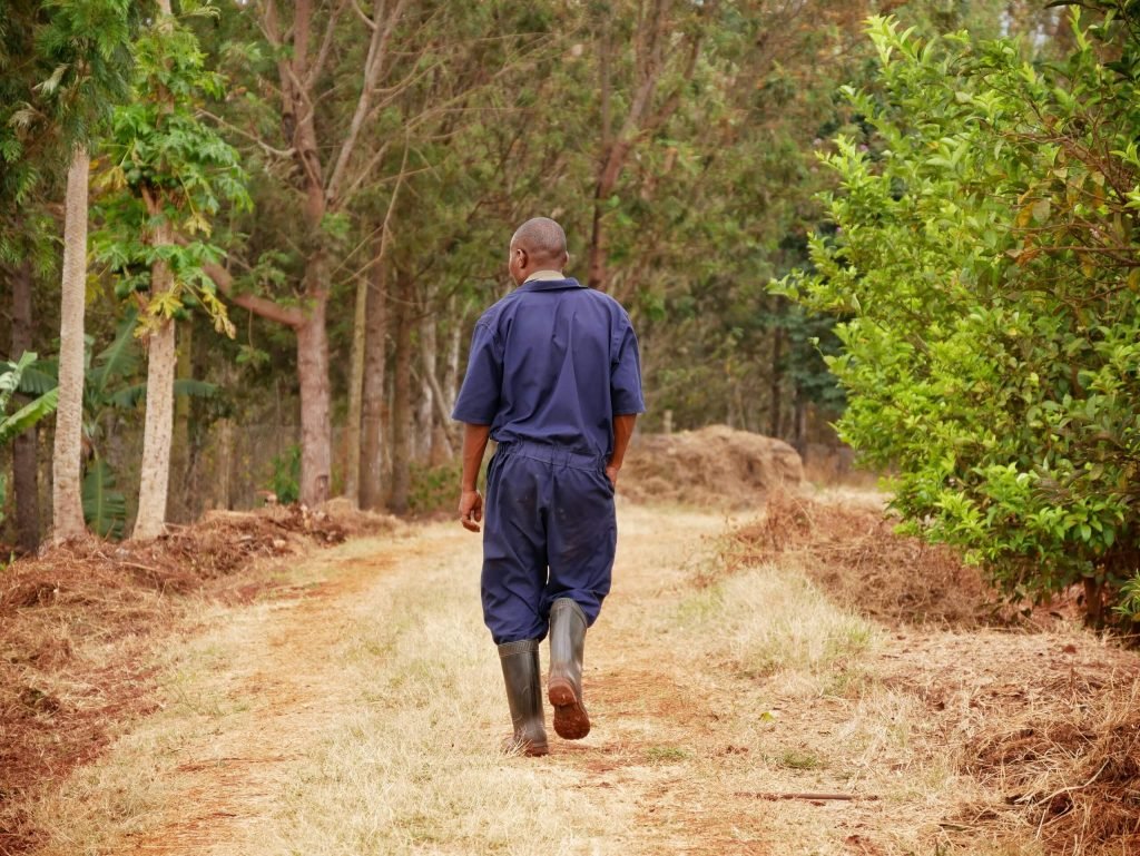 A man walking on a coffee farm in Tanzania