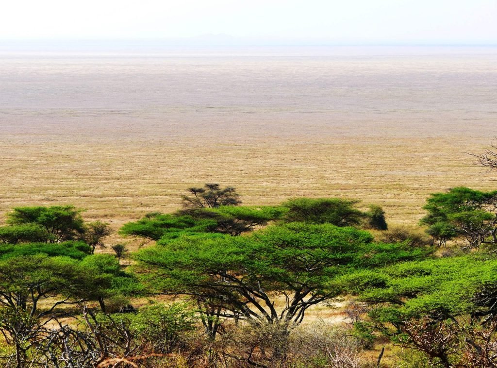 African Landscape at Serengeti National park