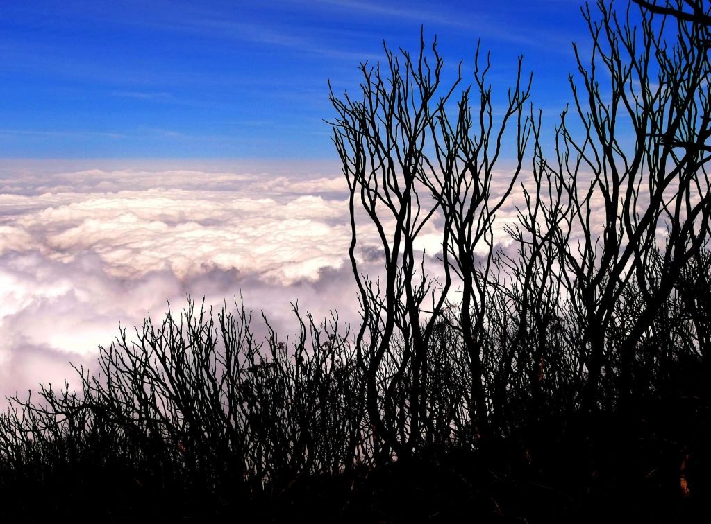View over the clouds on Mt. Meru, Tanzania