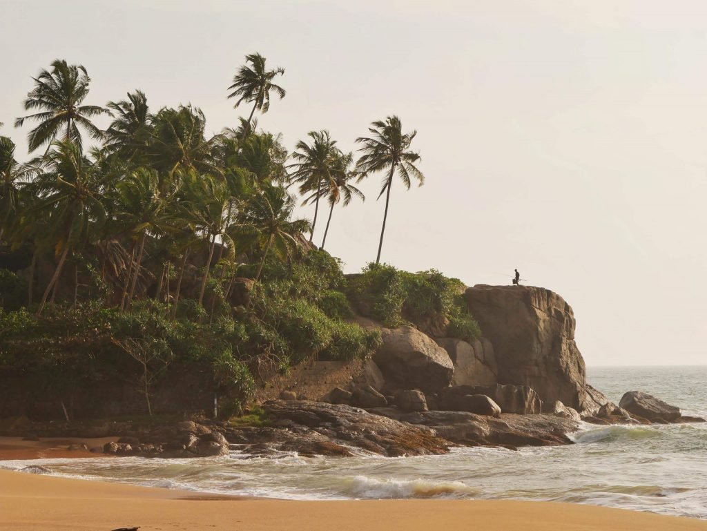 palms and beach of sri lanka with fischer men in the back