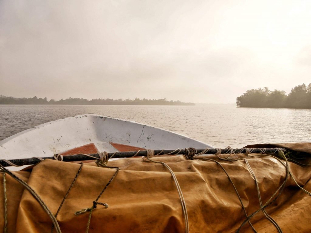 mangrove safari on a small boat near Bentota