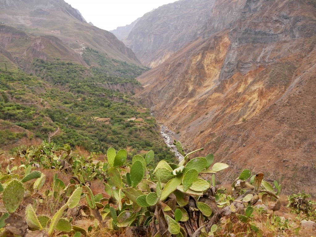 View into Colca canyon, Peru