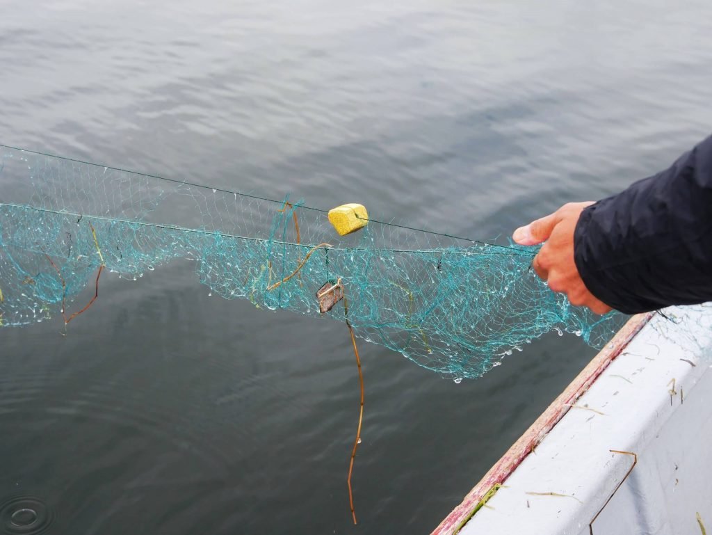 Pulling the fishing net at Lake Titticaca
