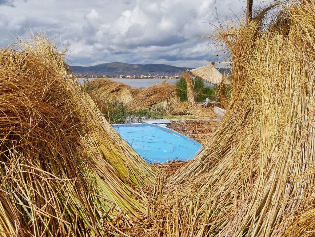 Reed at Uros island on Lake Titticaca, Peru