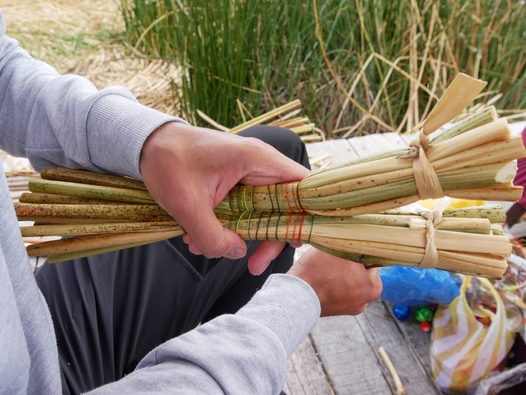 Building of small boat of reed at Lake Titticaca, Peru