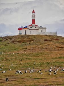 lighthouse view of Isla magdalena