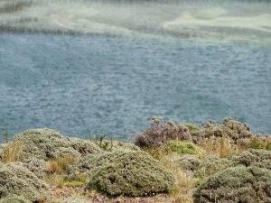 lake colors of torres del paine
