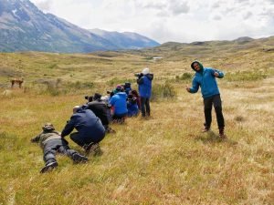 herd of photographers watching wildlife in torres del paine