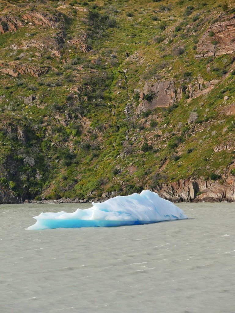 iceberg of glacier grey Patagonia