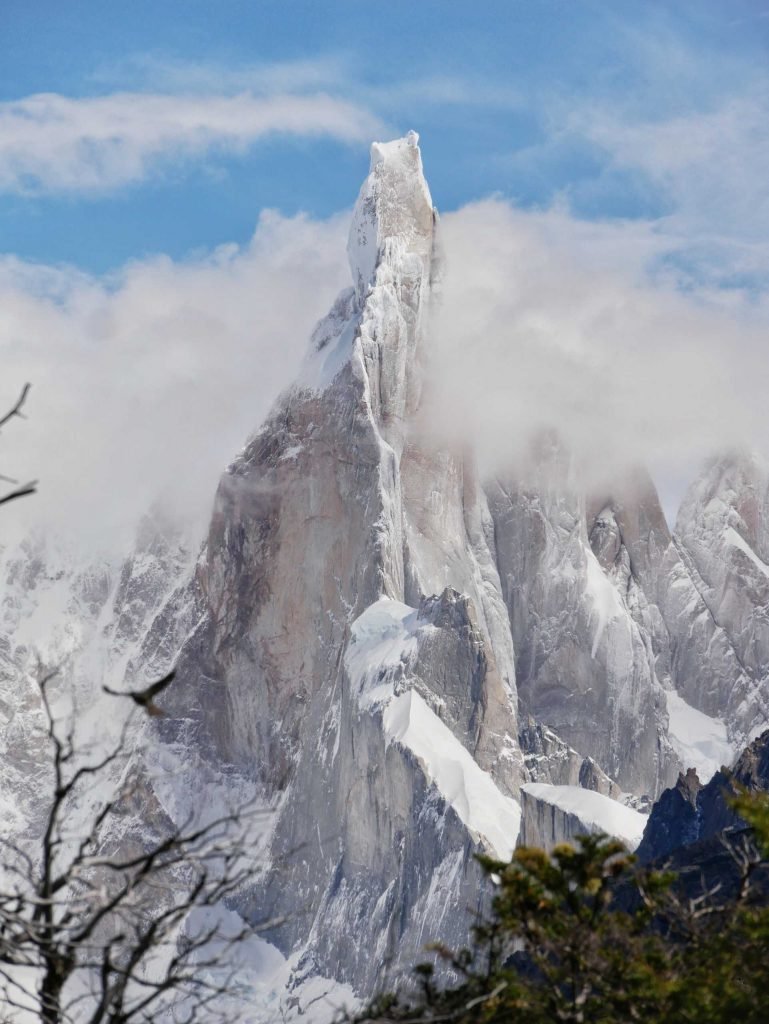 cerro torre view with trees in front bird