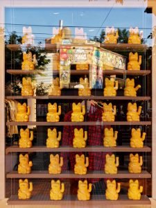 winking cats in window in Palermo