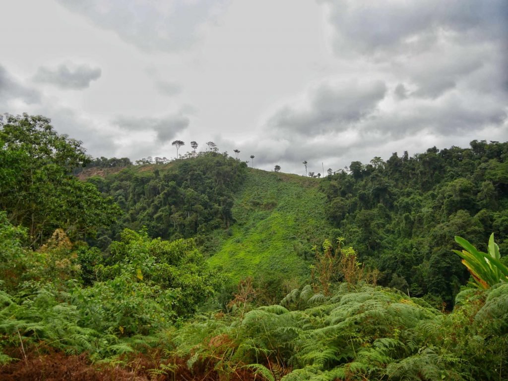 colombia hills