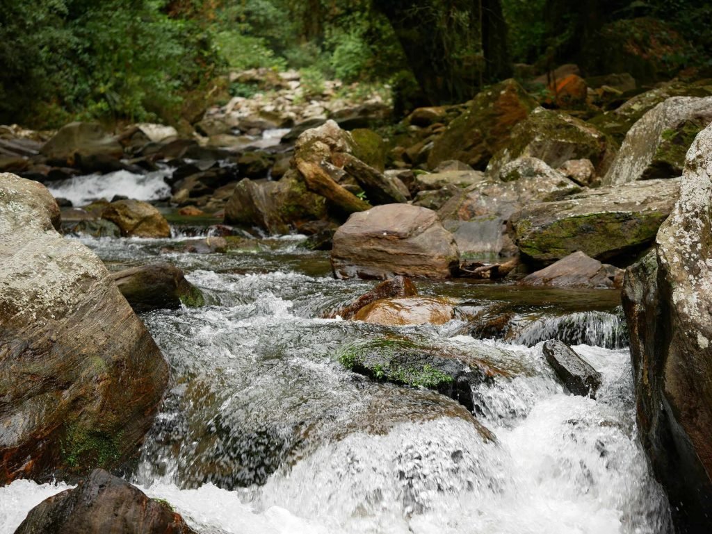 river stream waterfall colombian jungle