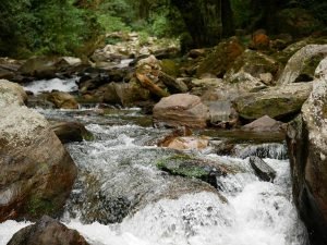 river stream waterfall colombian jungle