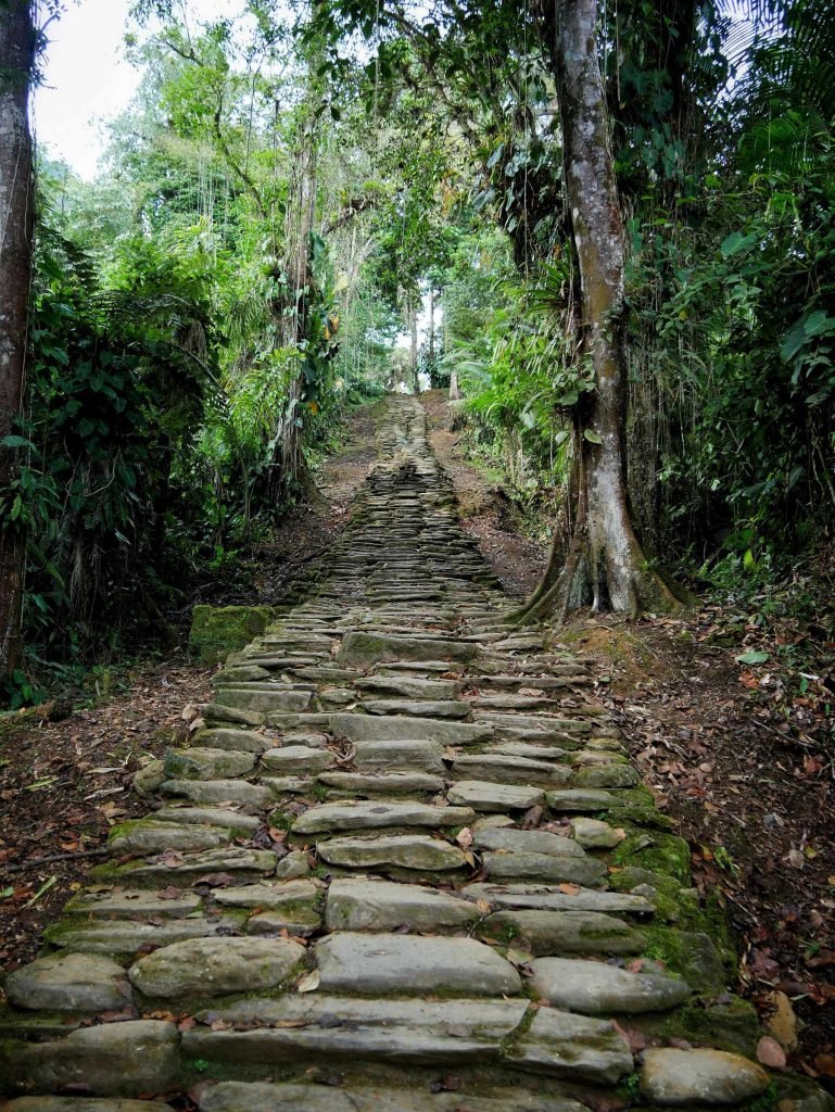 stairs to lost city ciudad perdida
