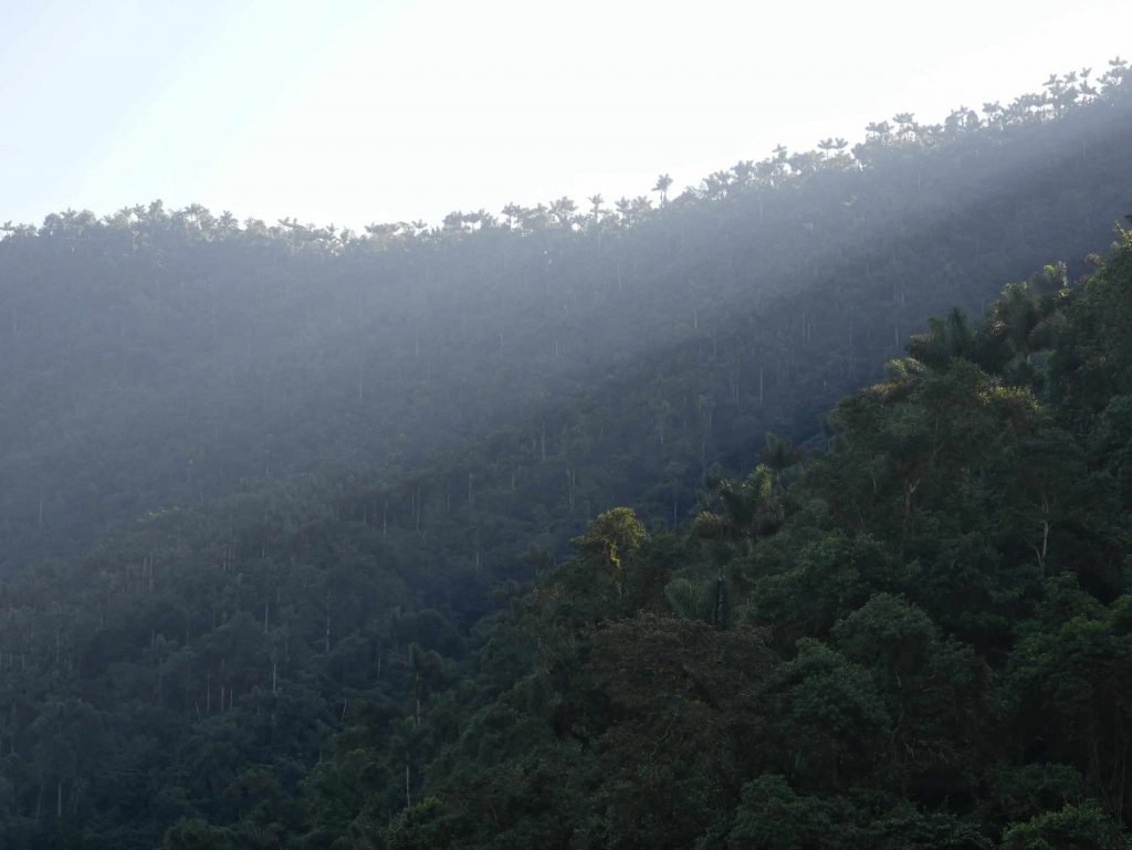 sunrise in the jungle lost city