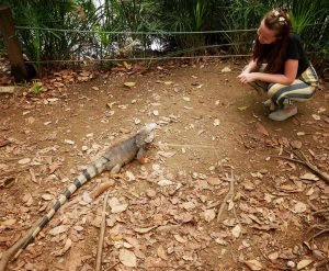 a girl and an iguana looking at each other